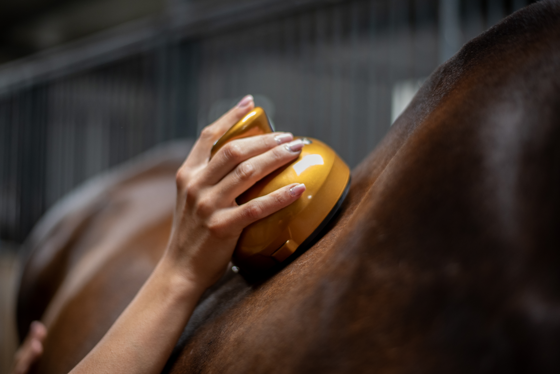 WACKARO® elektromos lóápoló-és masszírozó készülék - GOLD - Image 2