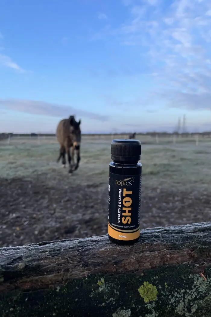 WACKARO EQUION® Vitality&Stamina SHOT