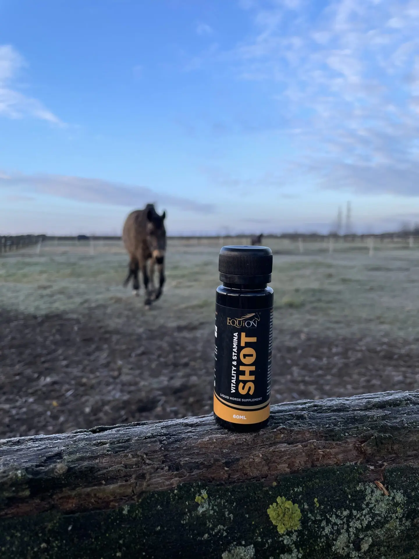 WACKARO EQUION® Vitality&Stamina SHOT