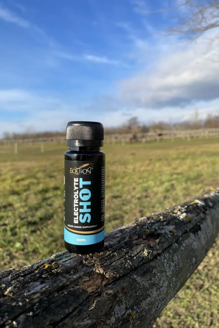 WACKARO EQUION® Electrolyte SHOT